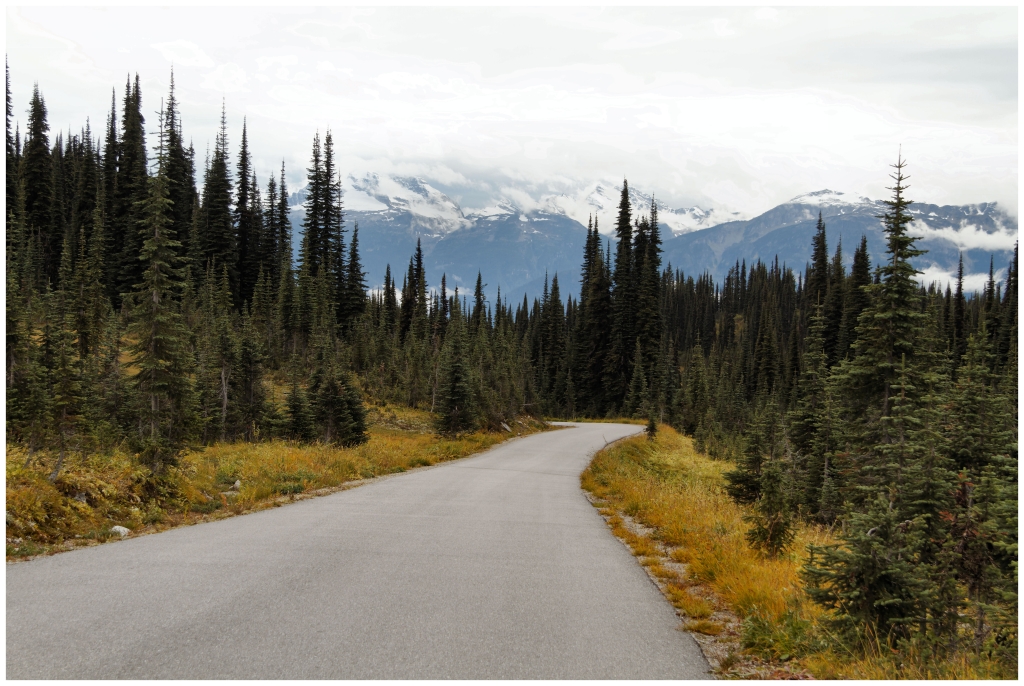 10 - Mont Revelstoke NP (9).jpg